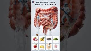 The 'Internal Power Wash': 7 Foods to Flush Your Gut in 24 Hours! 🚿🍎"