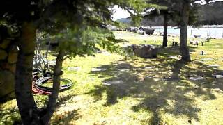 Evergreen Memorial Gardens - A Special Place.....