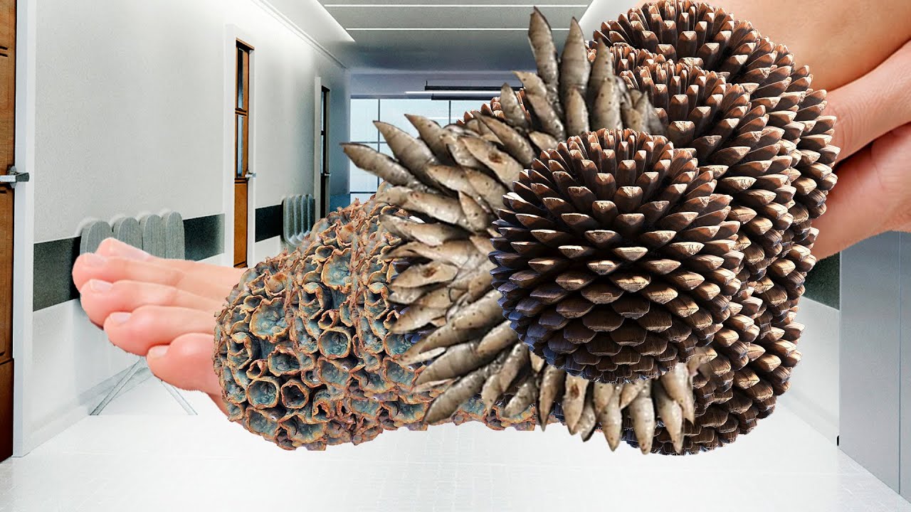 Luxury ASMR Foot Spa 👣 | Cozy Spa Sounds & Comfort Care