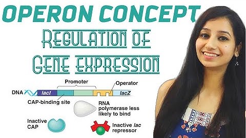 Operon Concept - Regulation of Gene Expression|Molecular Biology|CSIRNET|GATE|IITJAM|ICAR|ICMR|DBT|