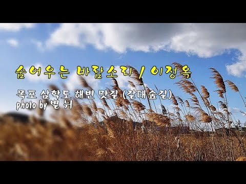 숨어우는 <strong>바람소리</strong> / 이정옥 &amp;amp; photo by 별 뉘