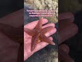 Каждая моя поездка в La Baule во Франции, полна новых открытий и впечатлений.