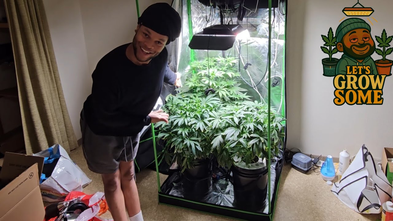 Let's Grow Some Ep.7 | The Plants Are Getting Big! - YouTube