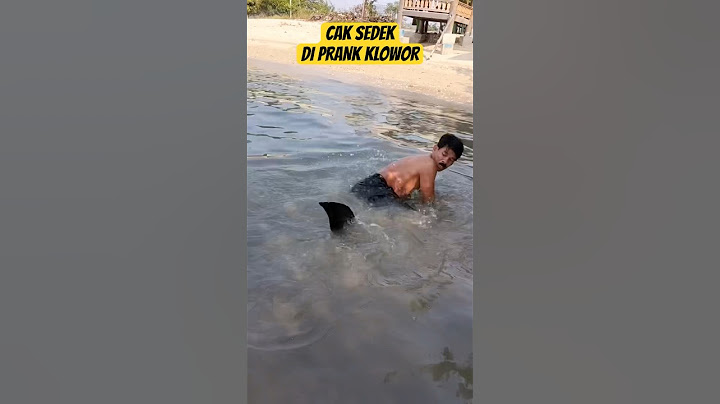 CAK SEDEK DI KEJAR HIU