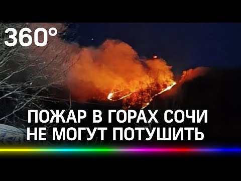 Пожар в горах Сочи не могут потушить третьи сутки