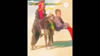 بہن بہں ہوتی ہے جب بہن کے حصہ مانگنے کا ٹائم آ تاہےتو بھائی مو مور لیتےہےviarl_shorts_video