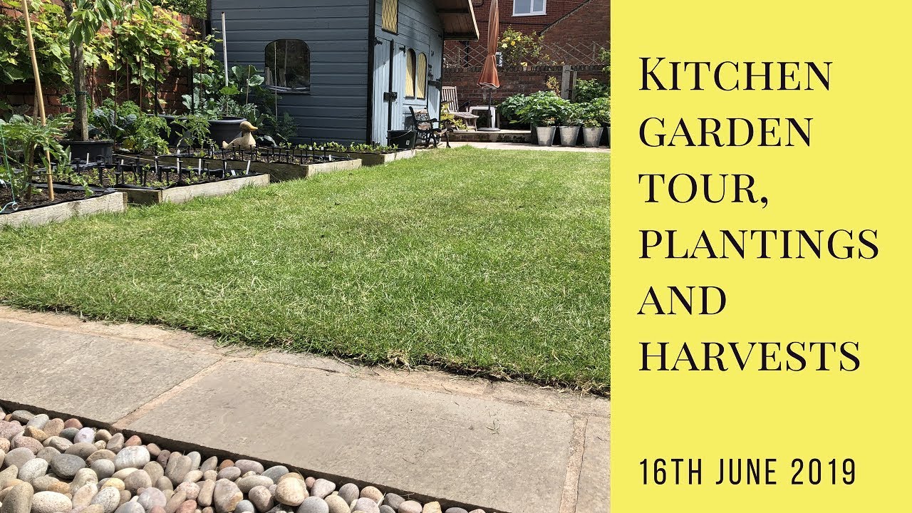 Kitchen Garden Tour, Planting and Harvests YouTube