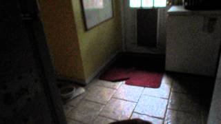 DSCF1634.AVI