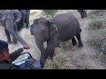 Our safari jeep was surrounded by a herd of elephants !