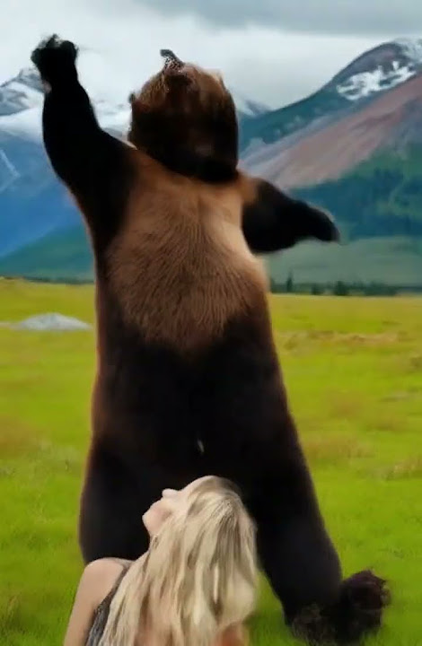 #beardance  #shortvideo #animals #love #bear