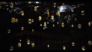 Twinkle Lights Surprise Proposal in San Diego