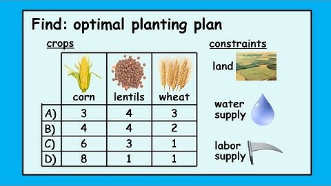 Stochastic Programming 3