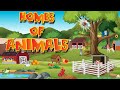 Animal Homes for Kids | Where Do Animals Live?