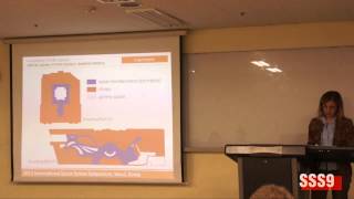 Famous SSS9 Parallel Session 2 Ozlem Belir Wealth