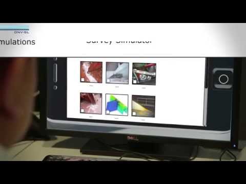 SurveySimulator experience