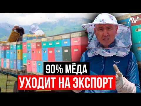 ДЕНЬГИ на МЁДЕ – КАК и СКОЛЬКО можно заработать на Пчеловодстве?