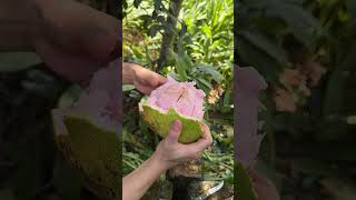Delicious Pink Grapefruit #fruit #fruitcutting #grapefruit #shorts #foryou