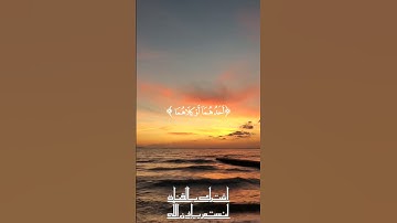 وقضى ربك الا تعبدوا إلا إياه وبالوالدين إحسانا #_قران كريم بصوت القارئ ماهر المعيقلي