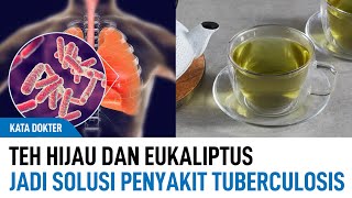 Herbal Teh Hijau Dengan Minyak Eukaliptus Jadi Solusi Penyakit Tuberkulosis (TBC) | Kata Dokter screenshot 1