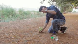 Plant a Tree | Magic Vine # 24