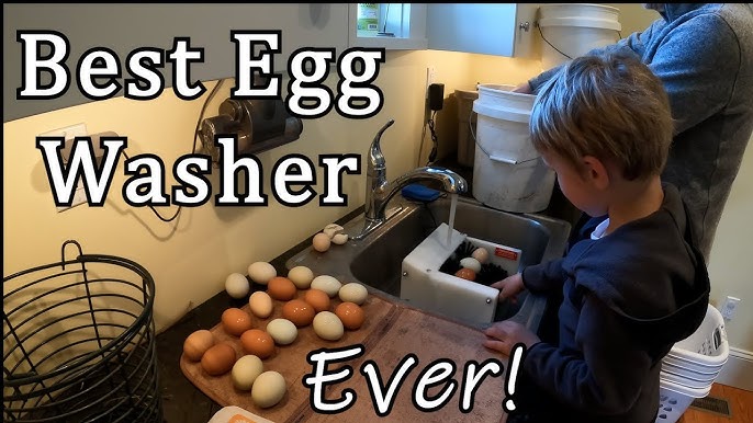 Cascadia Coop Egg Washer – EEC Forest Stewardship