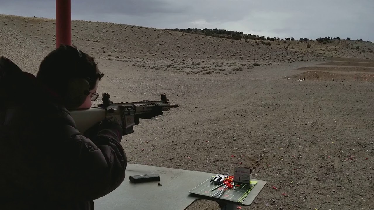 AR10 (M5E1 Rifle build) 10 round mag dump