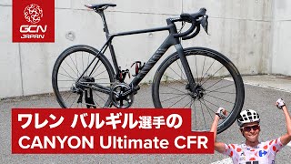 ワレン・バルギル選手のキャニオン　アルティメイトCFR