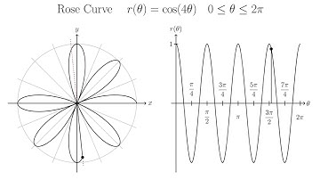 Rose Curves