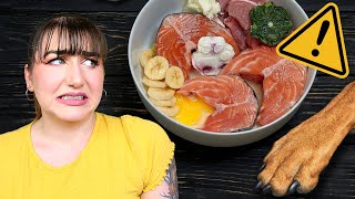 Is Raw Pet Food Safe?