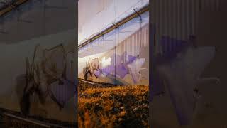 #graffiti #timelapse
