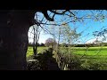 Squirrel jumping in front of my fpv drone shorts