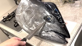 お寿司屋さん怒る？？本当に知りたくなかったマグロの闇