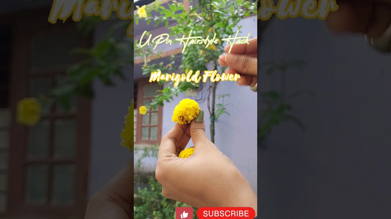 Marigold Flower Hairstyle Hack 