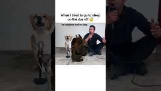 tried to both my boys(dogs) to sing along but they wasn’t in the mood 😂🤣 #dog #funny  #pets