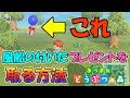 【あつ森】風船の付いたプレゼントを取る方法【あつまれどうぶつの森】