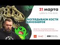 РАЗГЛЯДЫВАЕМ КОСТИ ДИНОЗАВРОВ вместе с Палеонтологом… и «Упоротым Палеонтологом»