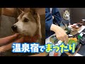 【わんこと温泉宿】美味しいご当地グルメを食べて🍽源泉掛け流し温泉に一緒に入り♨️一年の疲れを癒してきました🐶🧖♀️