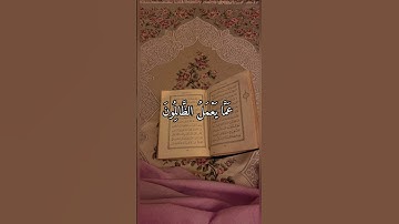 القرآن الكريم سوره ابراهيم بصوت القارئ شريف مصطفى #القرآن_الكريم #شريف_مصطفى