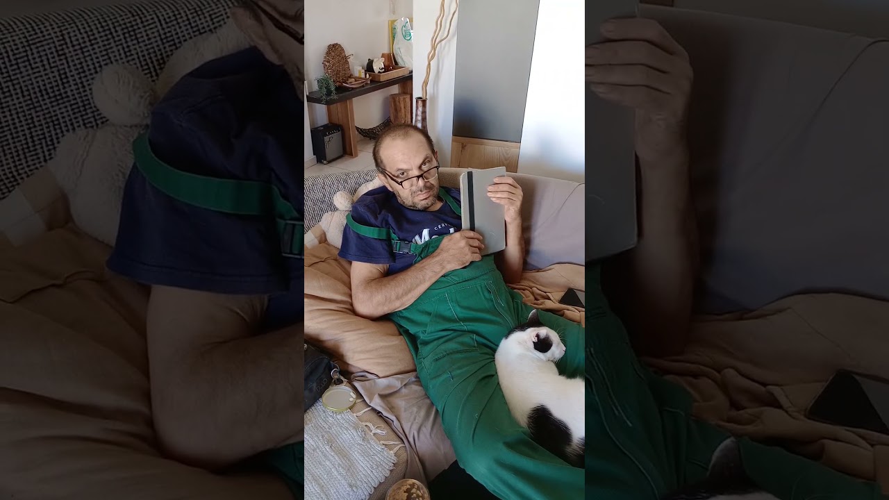 Cozy Cat Family Time 🐾 All Together on the Couch