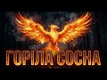 ГОРІЛА СОСНА Епічний ремікс української народної пісні Modern Folk Remix
