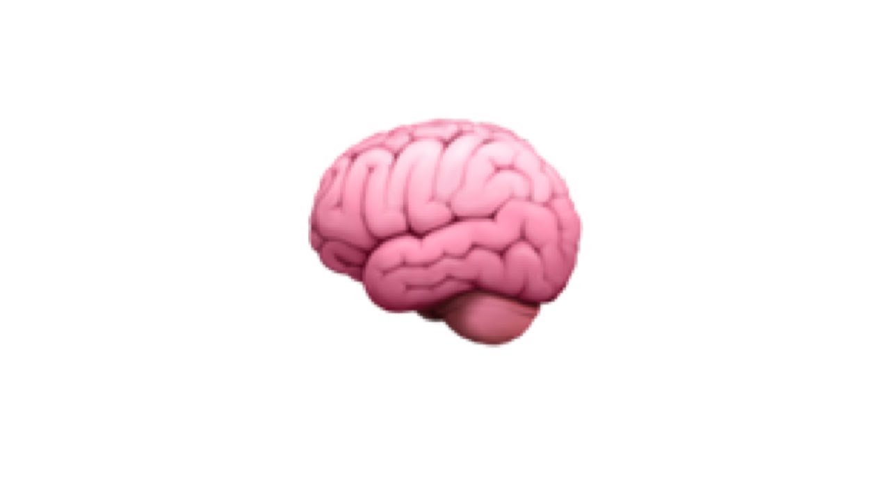 Brain Bumper