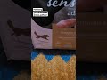 #werbung Hundefutter mera pure sensitive Truthahn & Reis