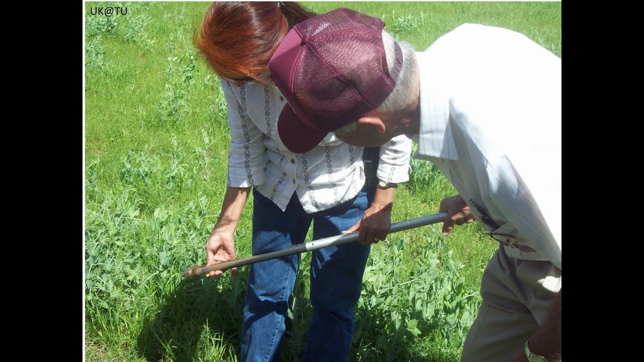 Testing Pasture Soil Taking Samples, Test Results, & Amendments YouTube