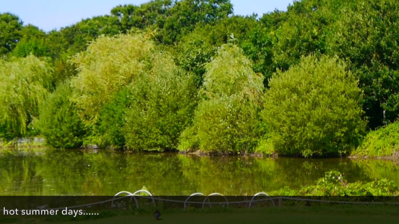Hot summer days & lovely balcony views at Slinfold Golf & Country Club