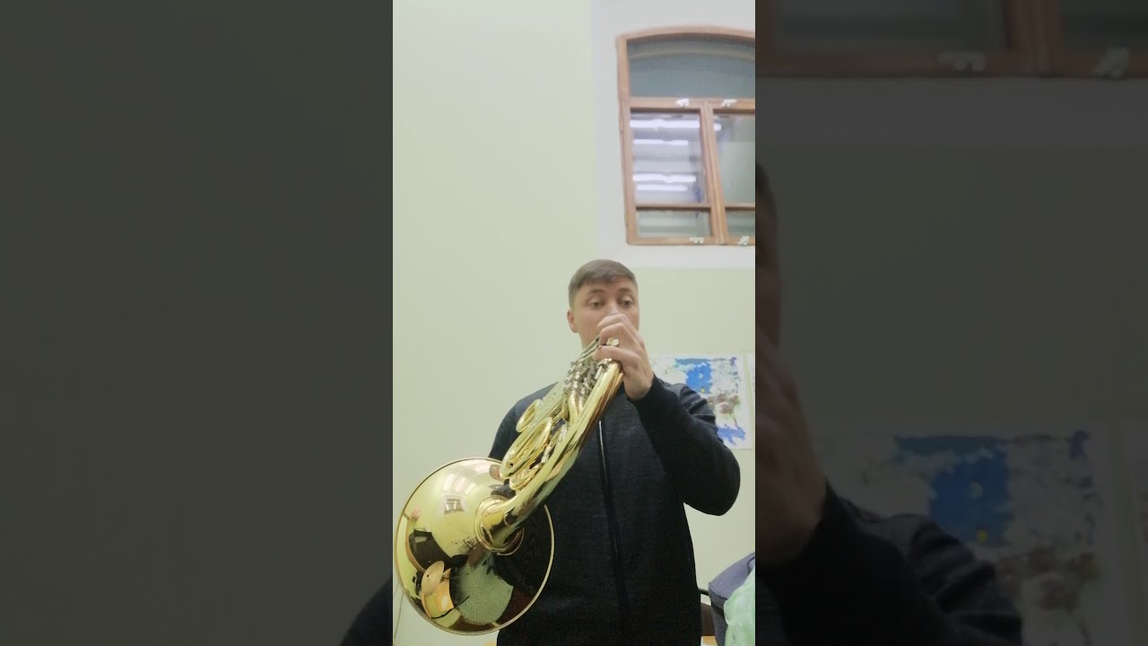 Mahler 3 symphony, Horn solo, orchestra excerpt, 1st movt. YouTube