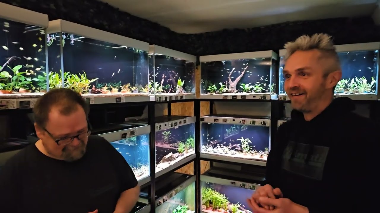 Fredagsfilm - En bette bøvs omkring vandskifte!