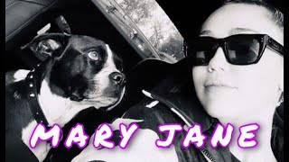 Miley Cyrus - Mary Jane (Vertical Video)