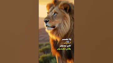انا الدلة تركعلي و فنجان يهز 