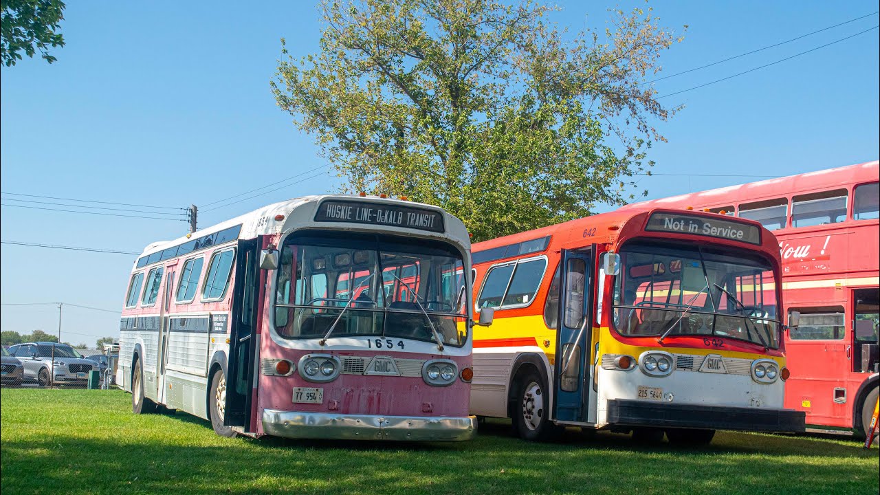 IRM 2025 Bus Day Compilation