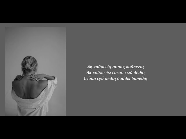 Sadraddin - Aq koilek (lyrics,караоке,текст)